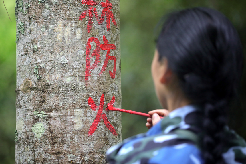 吴忠华在树干上书写森林防火宣传标语。何贱来摄