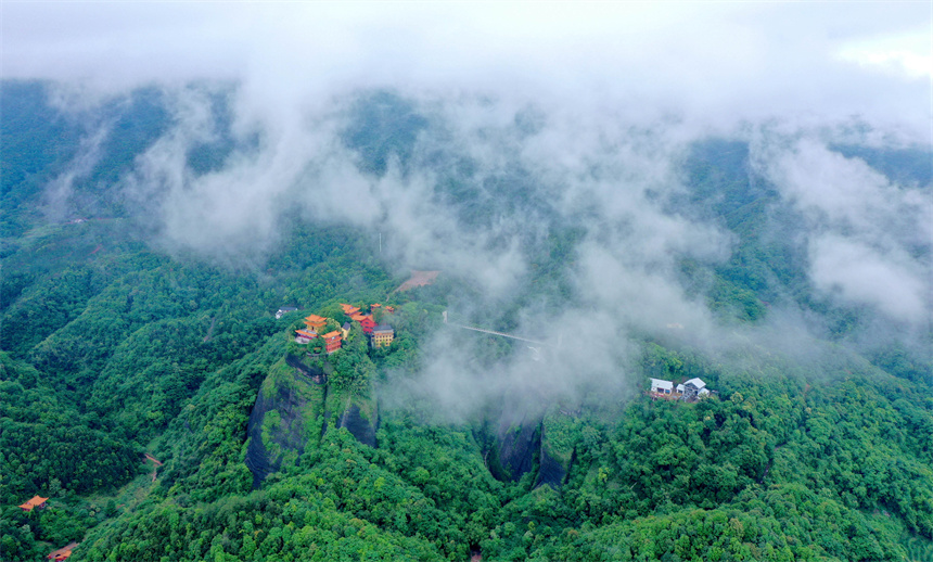 雨后的江西省贛州市全南縣天龍山景區雲霧繚繞景如畫。尹其奇攝