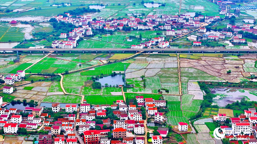 空中俯瞰南昌县塘南镇张溪村，一栋栋白墙红瓦的农房与田园阡陌、绿树碧水相互映衬，乡村美景宜人。人民网 朱海鹏摄