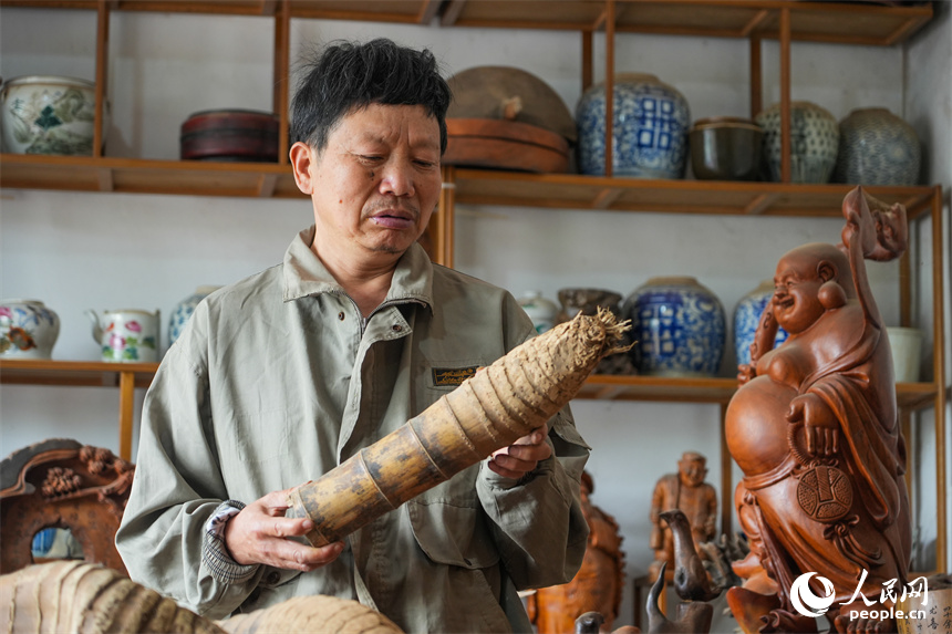 江西省级非遗项目根雕代表性传承人刘四喜在挑选合适的根雕原材料。人民网 孔文进摄