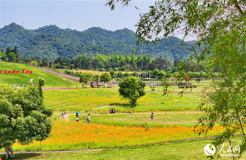 宜春市宜丰县黄垦镇炎岭村乡村旅游点，许多游客前来游玩、拍照，感受体验初夏时节的山水田园生态风光之美。人民网 朱海鹏摄