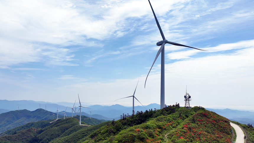 航拍宜豐縣太陽嶺，風力發電機組與蔥郁山巒、鮮艷杜鵑、藍天白雲相映成景。何賤來攝