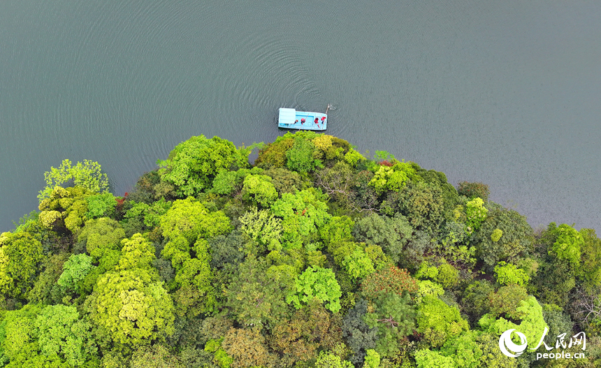 环保志愿者在赣州市安远县三百山镇河道内巡河。人民网 朱海鹏摄