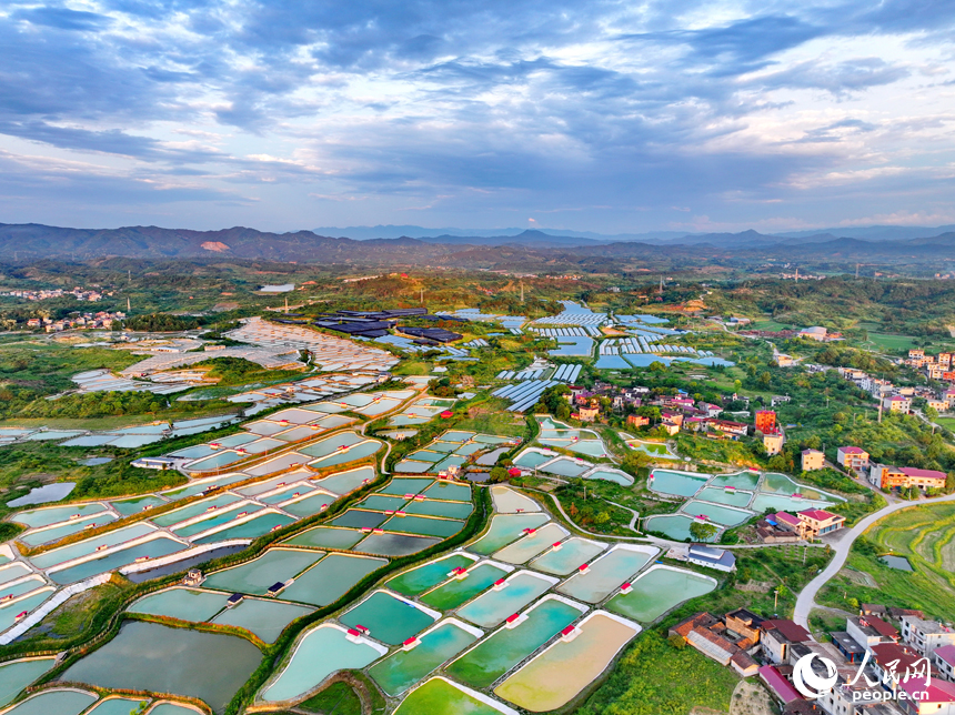 抚州市南丰县莱溪乡的一处甲鱼养殖基地，鳞次栉比的甲鱼养殖塘颜色各异，风景独特。人民网 朱海鹏摄