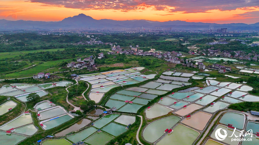 抚州市南丰县莱溪乡的一处甲鱼养殖基地，鳞次栉比的甲鱼养殖塘颜色各异，风景独特。人民网 朱海鹏摄