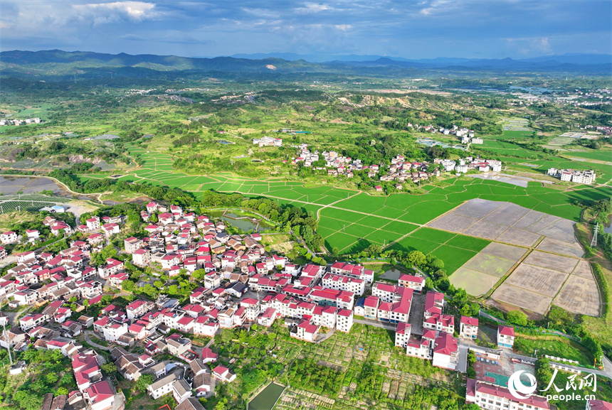 撫州市南豐縣萊溪鄉九聯新村，白牆紅瓦民居與綠色生態田園相互映襯，風景怡人。人民網 朱海鵬攝