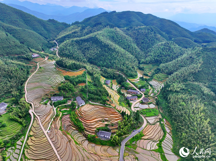 贛州市崇義縣上堡梯田迎來開犁日，村民在犁田、整田，為中稻插秧種植做准備。人民網 朱海鵬攝