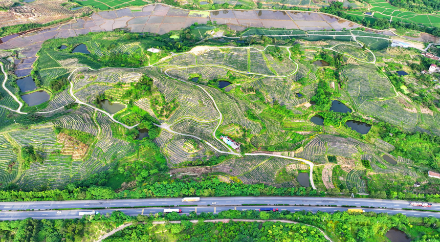 撫州市南豐縣萊溪鄉，濟廣高速公路車輛疾馳，沿線鄉村綠色生態美景怡人。人民網 朱海鵬攝