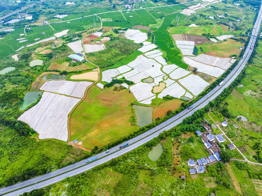 航拍江西省抚州市南丰县洽湾镇长岭村，济广高速公路与中药材种植基地、乡村道路、村庄等相互映衬，构成了一幅美丽的乡村振兴画卷。谢东摄