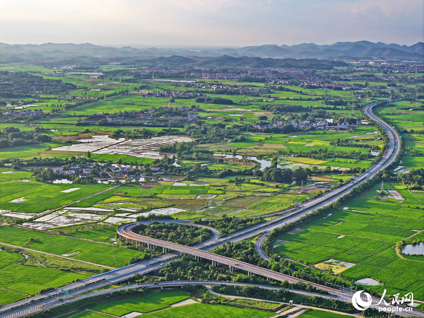 车辆行驶在江西省抚州市东乡区城郊的高速路上，夏日乡村风景如画。人民网 朱海鹏摄