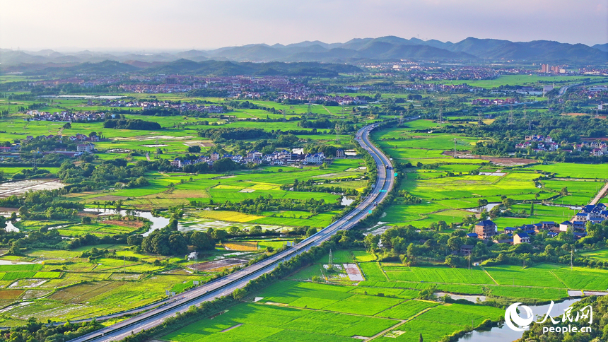 車輛行駛在江西省撫州市東鄉區城郊的高速路上，夏日鄉村風景如畫。人民網 朱海鵬攝