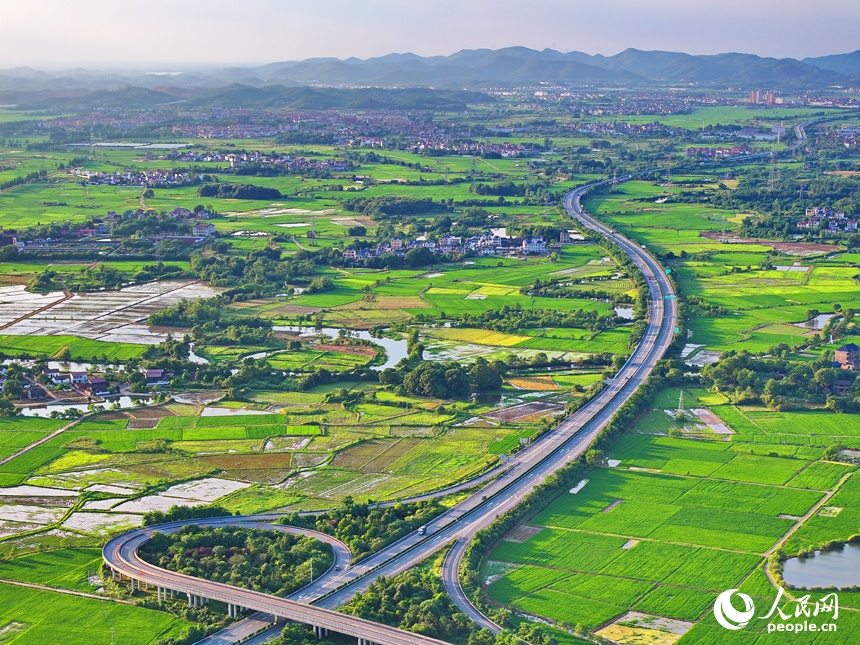 車輛行駛在江西省撫州市東鄉區城郊的高速路上，夏日鄉村風景如畫。人民網 朱海鵬攝