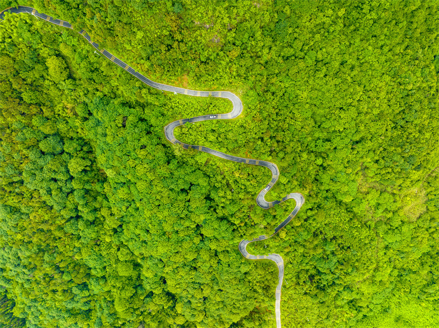 鄉村公路在山林中蜿蜒盤旋，風景如畫。李學華攝