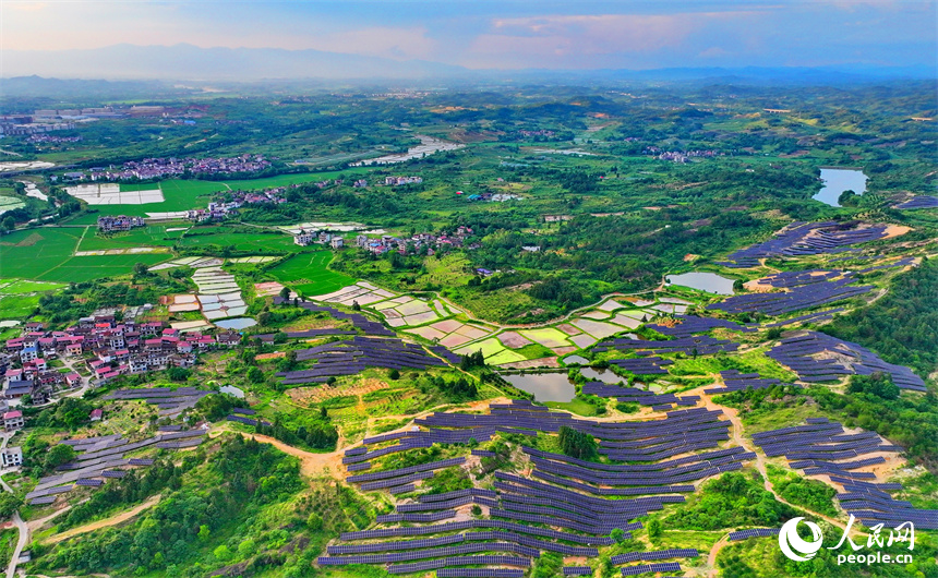 撫州市南豐縣萊溪鄉，鱗次櫛比的光伏組件分布在荒山坡上，源源不斷地轉化成電能並入電網輸往各地。人民網 朱海鵬攝