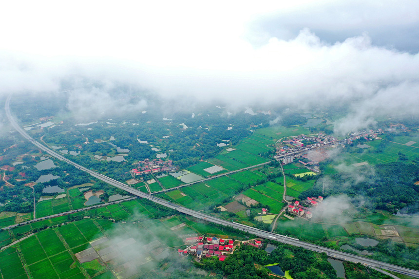 6月11日，雲霧縈繞下的江西省昌栗高速江西省宜春市上高縣野市鄉段美麗風光。陳旗海攝