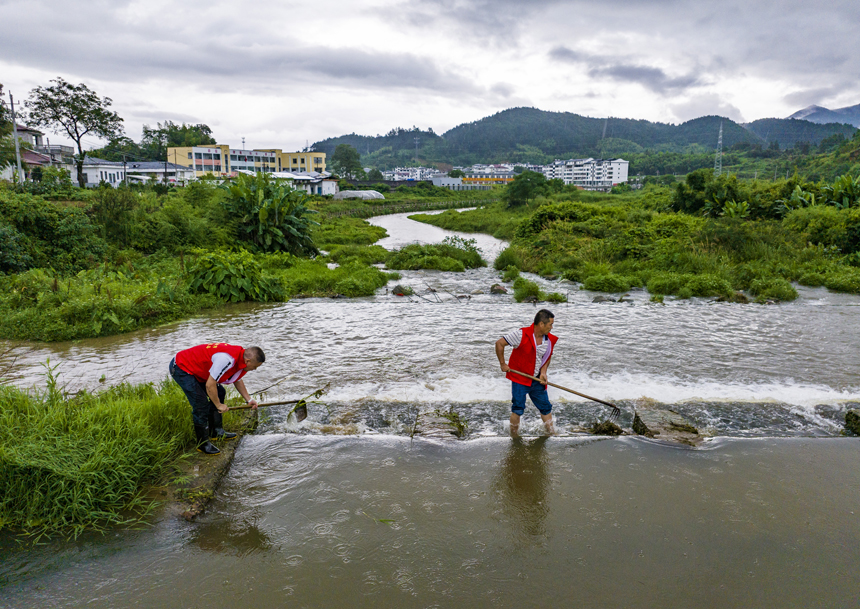 6月12日，江西省撫州市南豐縣傅坊鄉傅坊村，志願者正在清理堤壩的雜草、樹枝。謝東攝