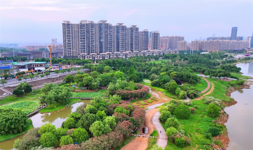 南昌市紅谷灘區的一處“口袋公園”，沿江濕地景色優美，樹木綠意盎然，不少市民在公園裡游玩。人民網 朱海鵬攝