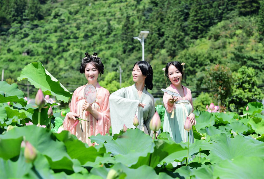 游客們在花田裡賞花拍照。呂春華攝