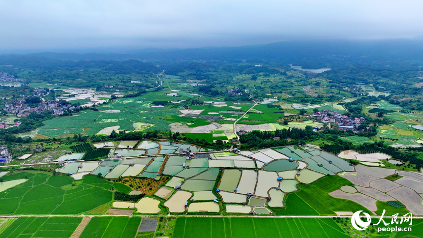 抚州市南丰县洽湾镇西坪村，连片的养殖塘与绿树、田园、村庄相互映衬，构成一幅和美乡村画卷。人民网 朱海鹏摄