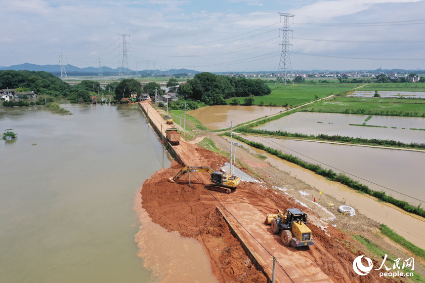 修河永修县艾城镇西津段堤坝上，推土机正在对堤坝进行加固作业。人民网记者 时雨摄