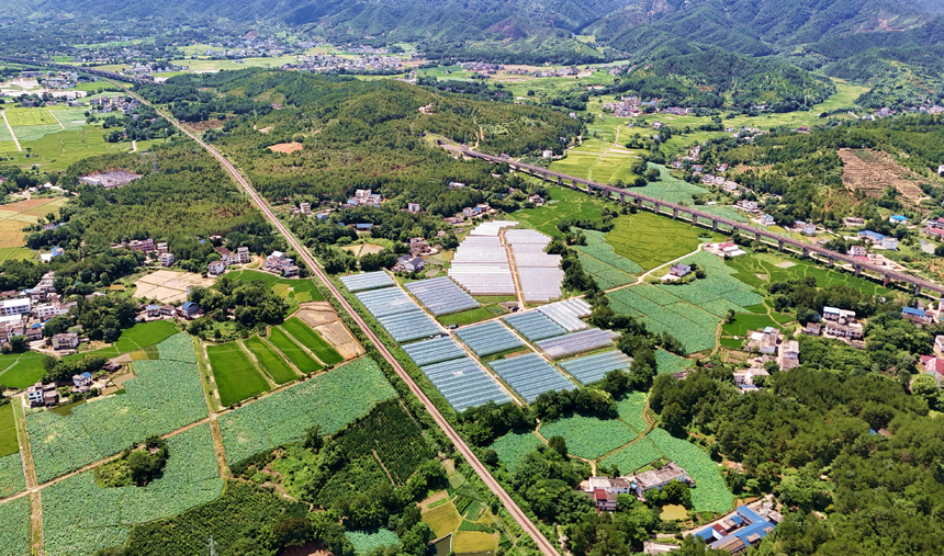 贛州市會昌縣西江鎮大田村，產業大棚、富硒水稻、客家民居相映成景，一幅秀美的鄉村畫卷徐徐鋪展。呂春華攝