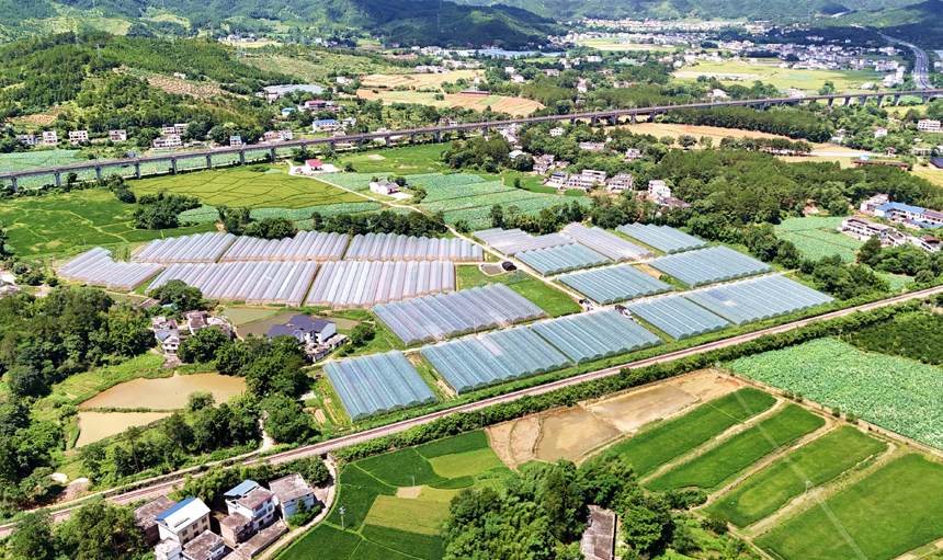 贛州市會昌縣西江鎮大田村，產業大棚、富硒水稻、客家民居相映成景，一幅秀美的鄉村畫卷徐徐鋪展。呂春華攝