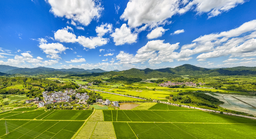 南丰县傅坊乡梅林村，稻田与山峦、村庄、乡道相映成趣，构成一幅美丽的丰收画卷。谢东摄