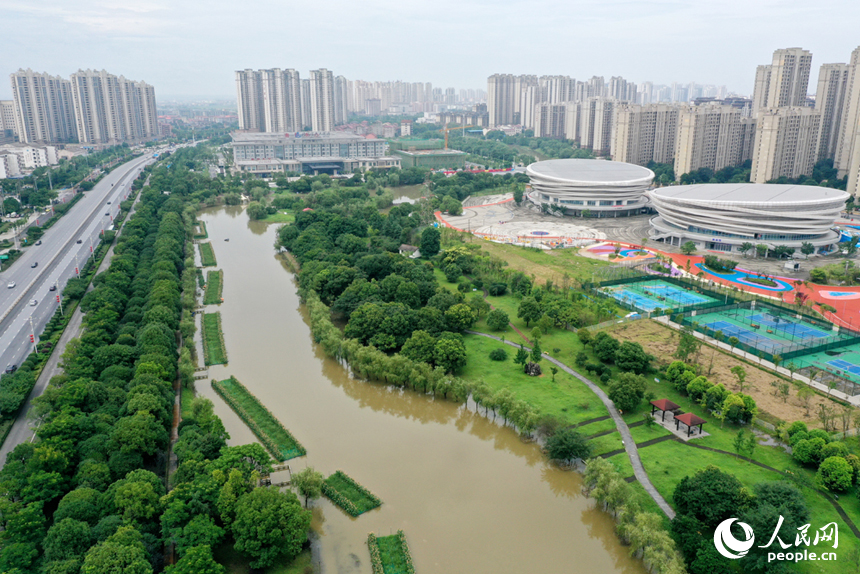 航拍镜头下的江西省丰城市玉龙河湿地公园，树木葱茏，水系相连。人民网记者 时雨摄