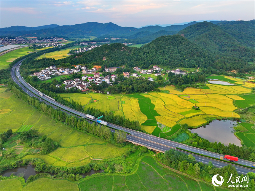 撫州市金溪縣秀谷鎮先鋒村，濟廣高速公路穿村而過，車輛往來疾馳。人民網 朱海鵬攝