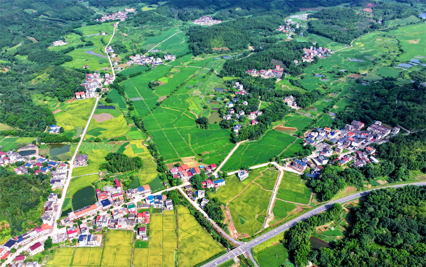 俯瞰江西省赣州市全南县陂头镇正河村的生态画卷。尹其奇摄