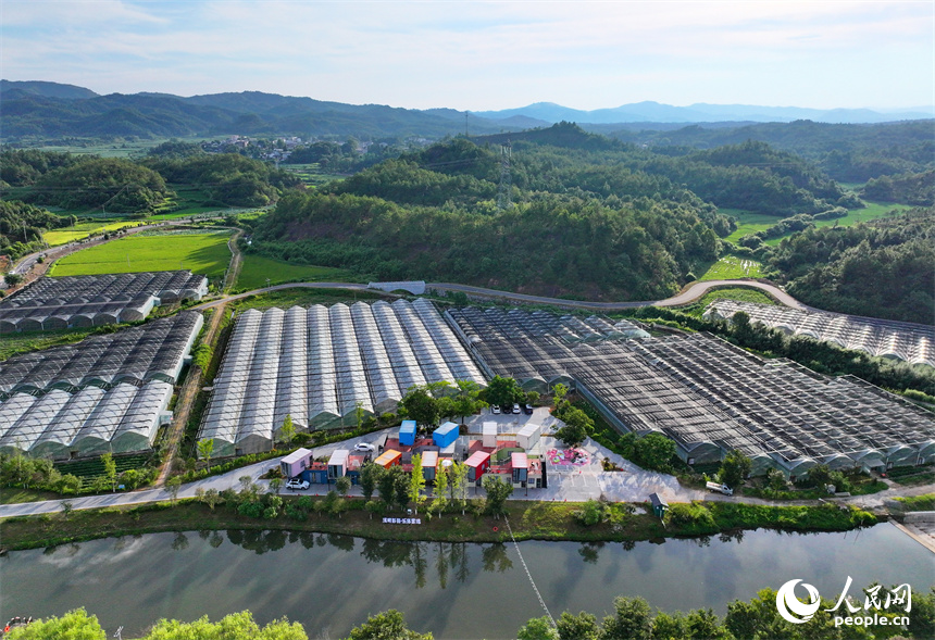 抚州市广昌县旴江镇彭田村溪畔彭田乡村旅游点，各式各样的游玩项目吸引了不少游客前来体验。人民网 朱海鹏摄