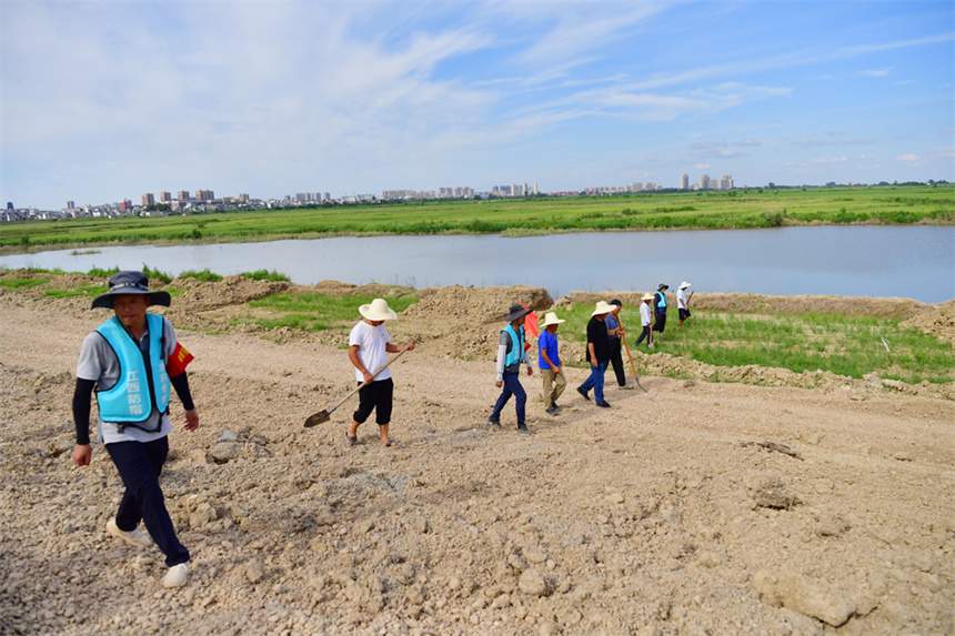 在上饶鄱阳县角丰圩的抢险点，水利专家和当地干群进行拉网式巡堤。人民网记者 时雨摄