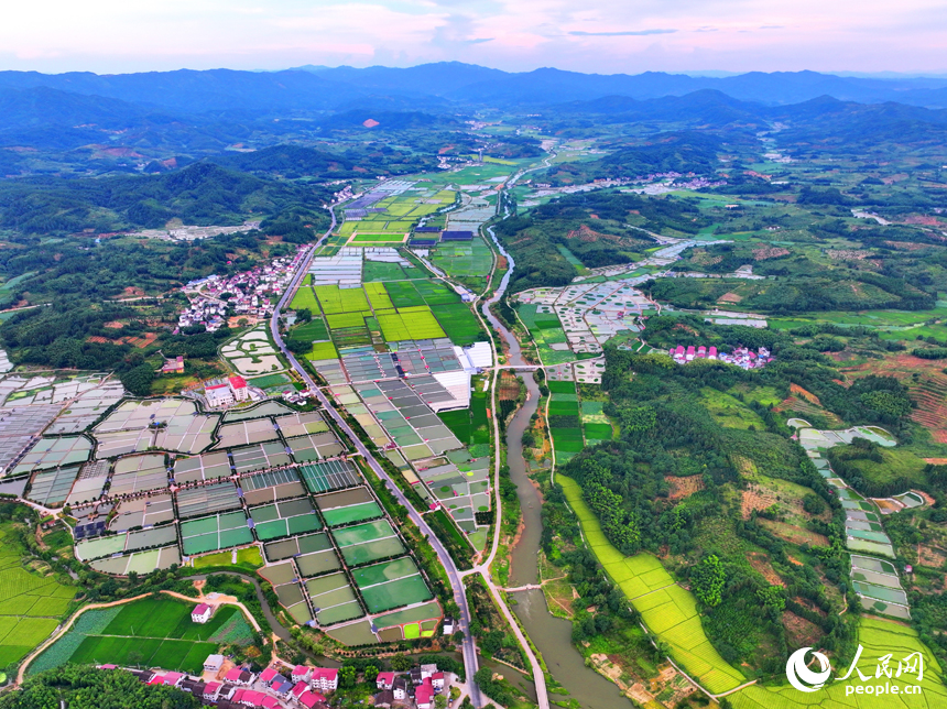 撫州市南豐縣太和鎮的甲魚養殖塘星羅棋布，色彩斑斕，如同大地調色盤。人民網 朱海鵬攝