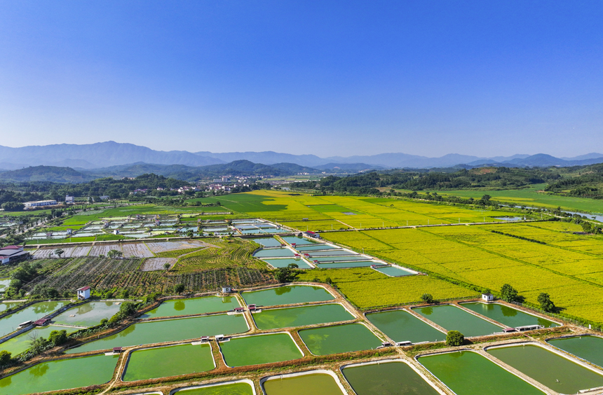 俯瞰南豐縣太和鎮，青山、魚塘、田園及民居等構成一幅秀美的生態鄉村畫卷。謝東攝