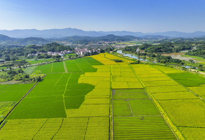 俯瞰南豐縣太和鎮，青山、魚塘、田園及民居等構成一幅秀美的生態鄉村畫卷。謝東攝