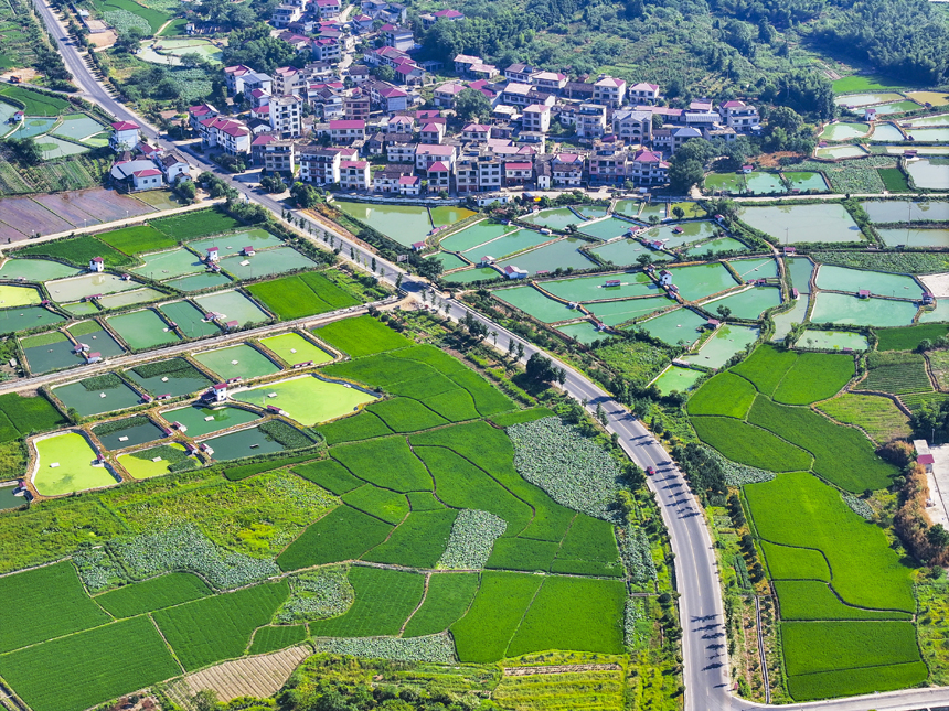 俯瞰南豐縣太和鎮，青山、魚塘、田園及民居等構成一幅秀美的生態鄉村畫卷。謝東攝