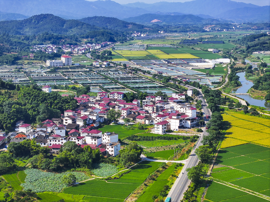 俯瞰南豐縣太和鎮，青山、魚塘、田園及民居等構成一幅秀美的生態鄉村畫卷。謝東攝