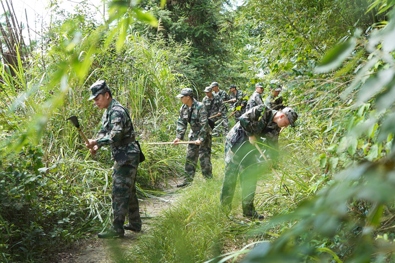 退役士兵森林巡防队正在清理防火隔离带。陈旗海摄