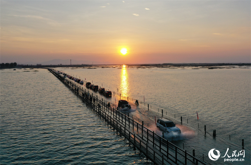 鄱陽湖水位降低，永吳公路大湖池段“浮出”水面，游客們駕車“沖浪”。人民網記者 時雨攝