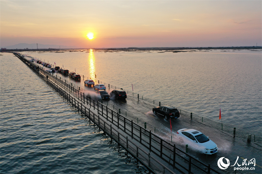 鄱阳湖水位降低，永吴公路大湖池段“浮出”水面，游客们驾车“冲浪”。人民网记者 时雨摄