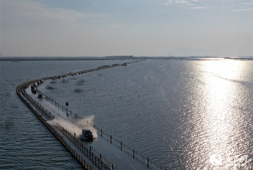 鄱阳湖水位降低，永吴公路大湖池段“浮出”水面，游客们驾车“冲浪”。人民网记者 时雨摄