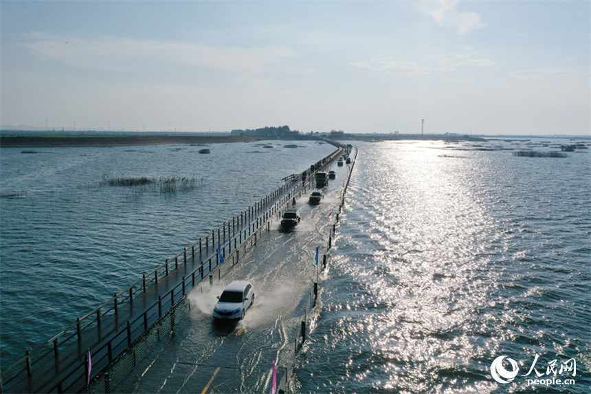 鄱陽湖水位降低，永吳公路大湖池段“浮出”水面，游客們駕車“沖浪”。人民網記者 時雨攝