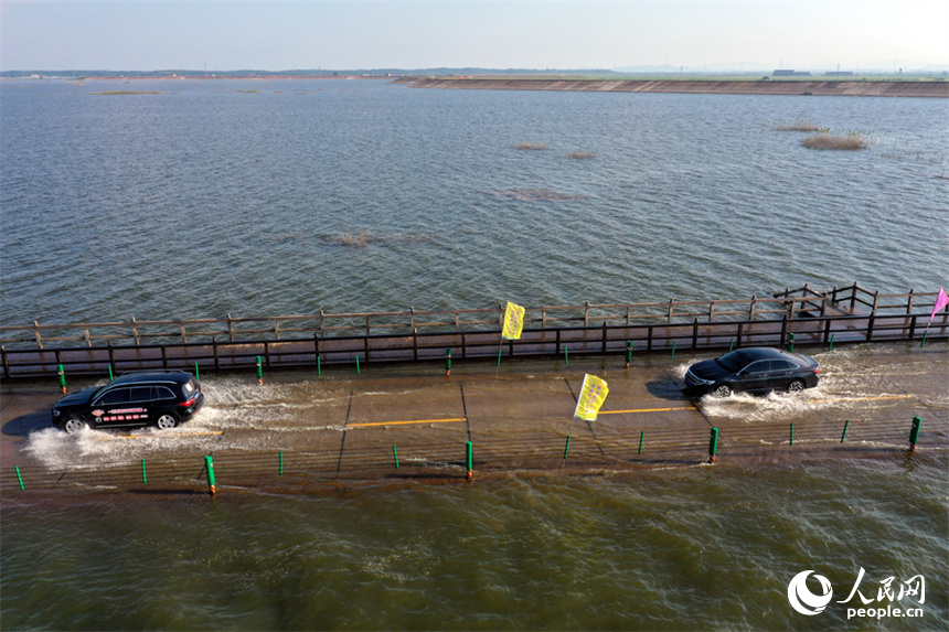 鄱陽湖水位降低，永吳公路大湖池段“浮出”水面，游客們駕車“沖浪”。人民網記者 時雨攝