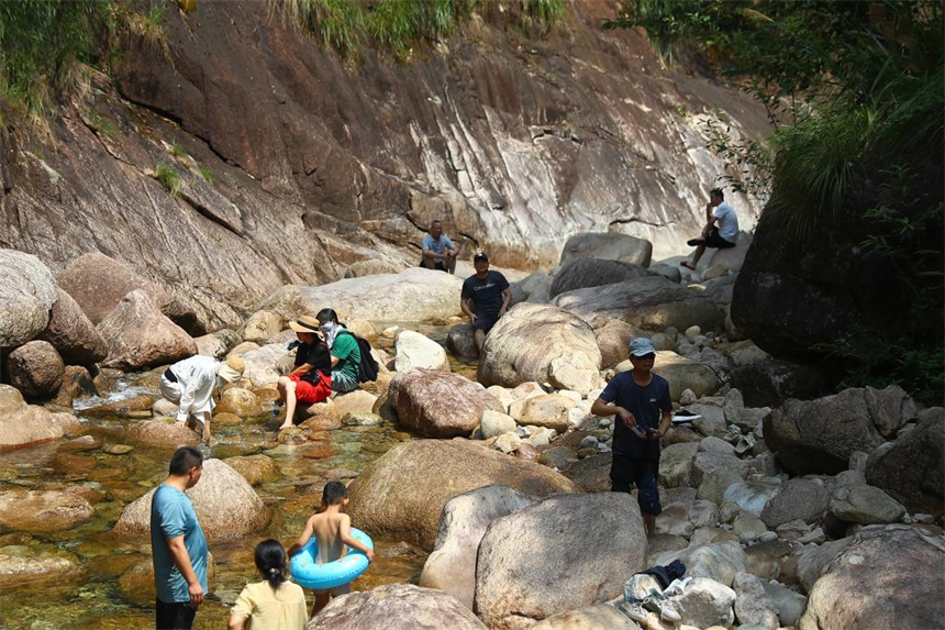 游客们在江西德兴大茅山亲近自然、避暑纳凉。甘来摄