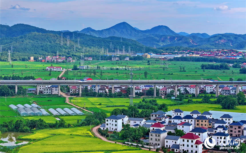 在建的東臨環城高速公路與農房、青山、綠樹、田壟相映成景，鄉村和美如畫。人民網 朱海鵬攝