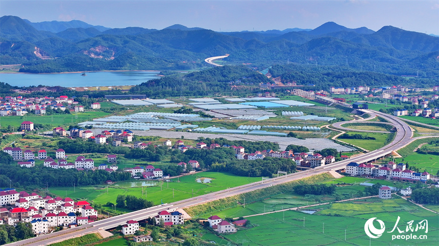 穿村而過的滬昆高鐵列車，與農房、青山、綠樹、田壟相映成景，鄉村和美如畫。人民網 朱海鵬攝