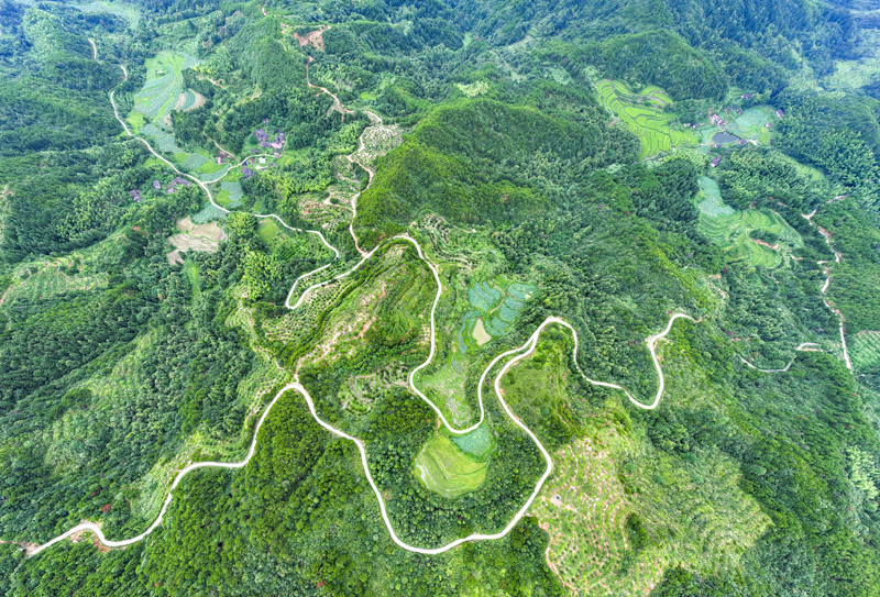 8月21日，在江西省抚州市南丰县傅坊乡拍摄的乡村公路。谢东摄