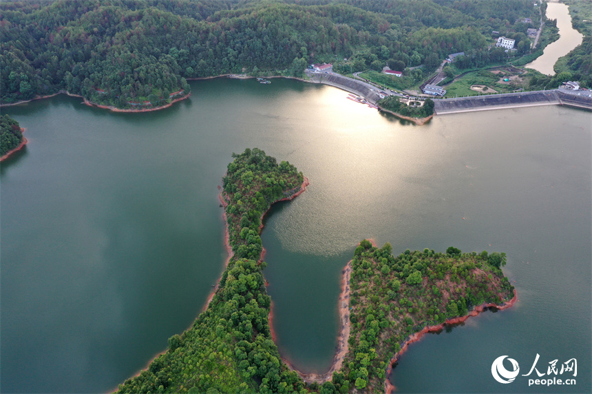 廣昌縣旴江鎮中坊水庫湖光如鏡，一座座綠色的小島嶼鑲嵌湖中。人民網記者 時雨攝