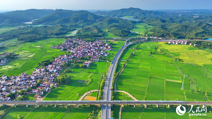 抚州市东乡区邓家乡古圩村，高速公路和高速铁路穿村而过，与沿线乡村农房、稻田相映成景。人民网 朱海鹏摄