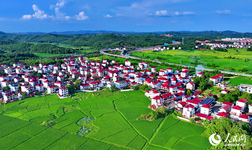 抚州市东乡区邓家乡古圩村，高速公路和高速铁路穿村而过，与沿线乡村农房、稻田相映成景。人民网 朱海鹏摄